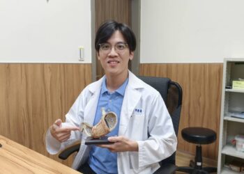 端午節放「粽」一下!腸胃科醫示警「兩類人」要當心,掌握「三原則」輕鬆吃